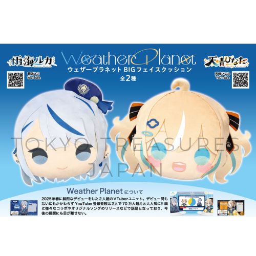 Weather Planet Big Face Cushion (Set of 2)