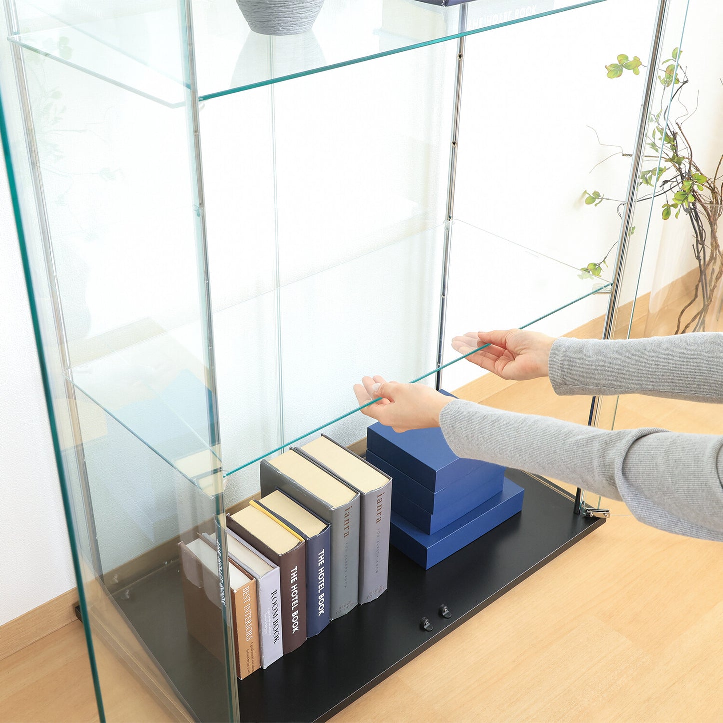 可動棚･鍵付 ガラスコレクションケース | Glass display case with adjustable shelves and lock.