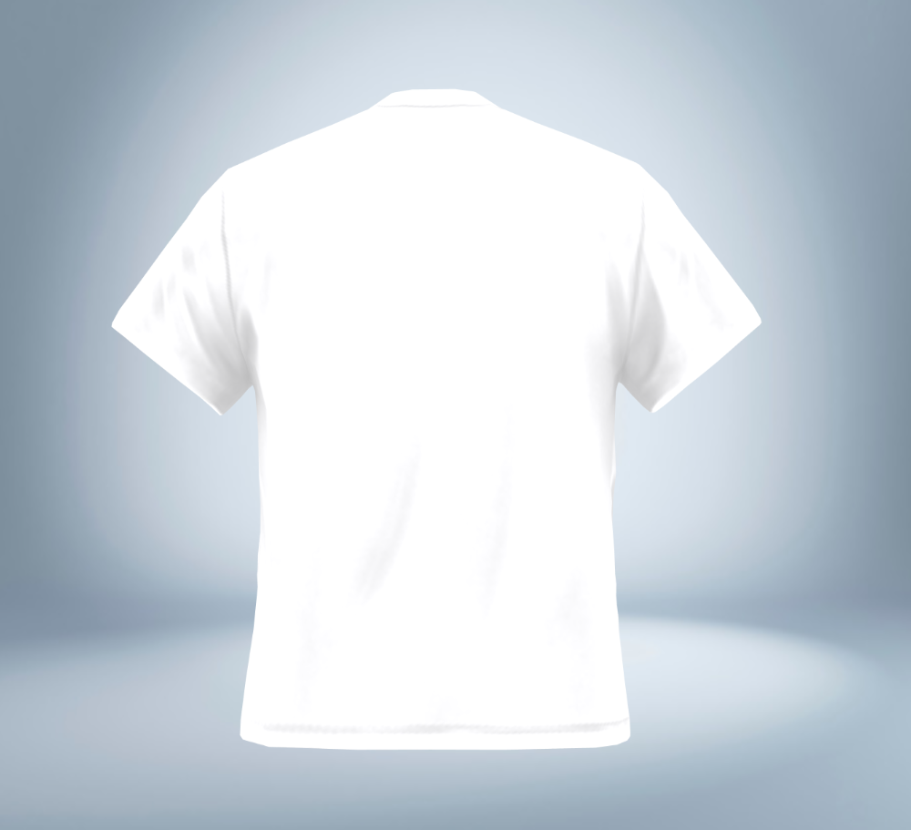 KANJI Collection – Dragon Power T-Shirt（White）Original Tokyo Treasures Japan